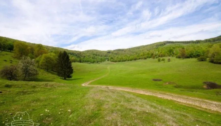 Peisaj al Platoului Carstic Tinoasa, publicat de Primăria Moneasa
