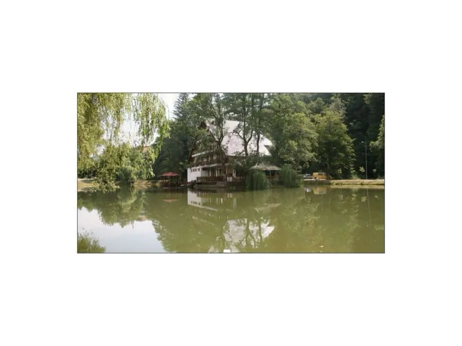 Obiectiv turistic Moneasa - photo-01