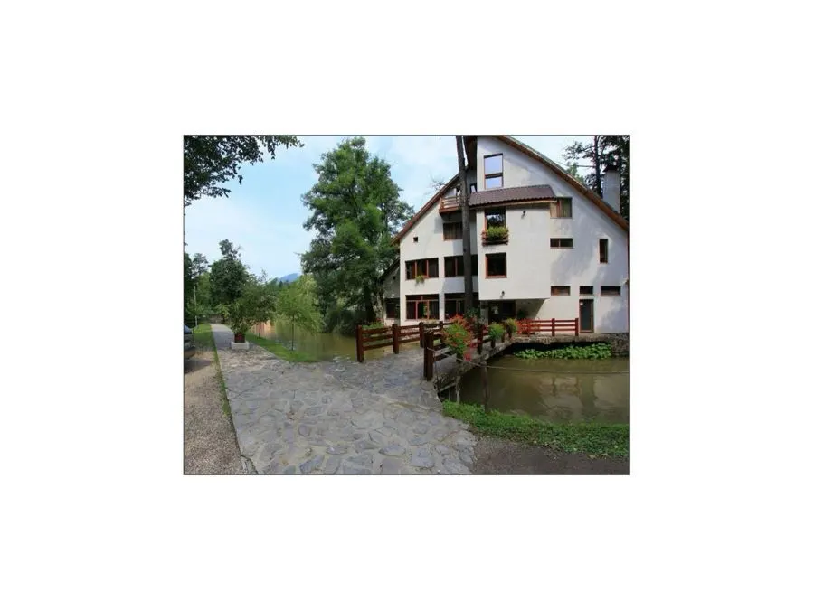 Obiectiv turistic Moneasa - photo-03