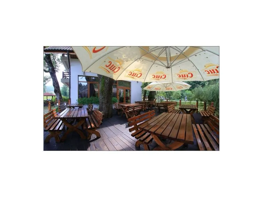 Obiectiv turistic Moneasa - photo-04