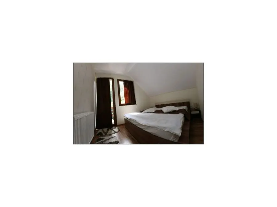 Obiectiv turistic Moneasa - photo-07