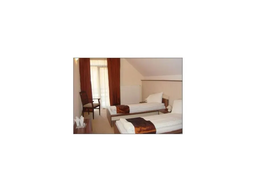 Obiectiv turistic Moneasa - photo-10