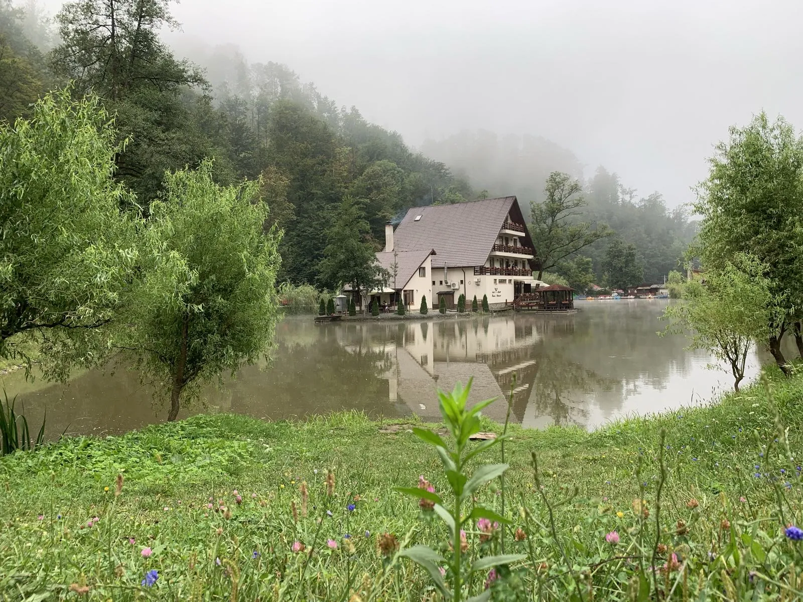 Peisaj Lacul Liniștit Moneasa - Summer