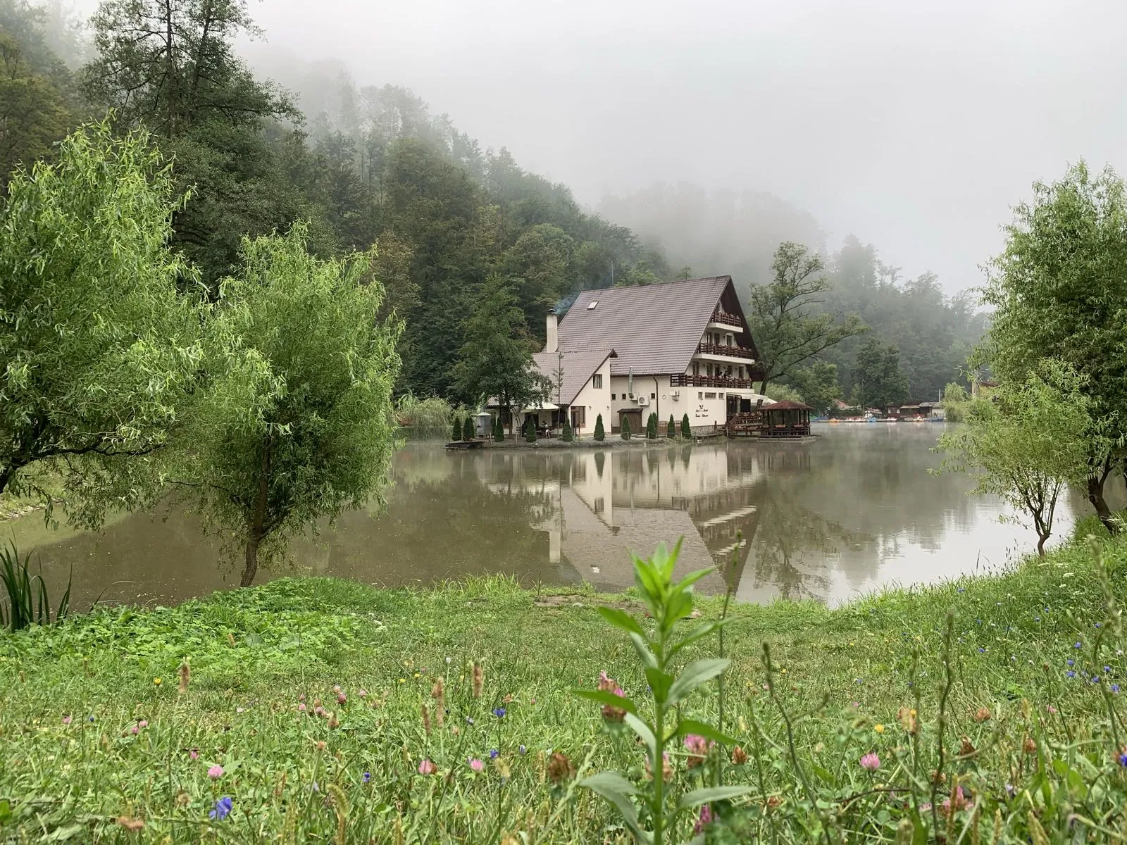 Peisaj Lacul Liniștit Moneasa - Summer