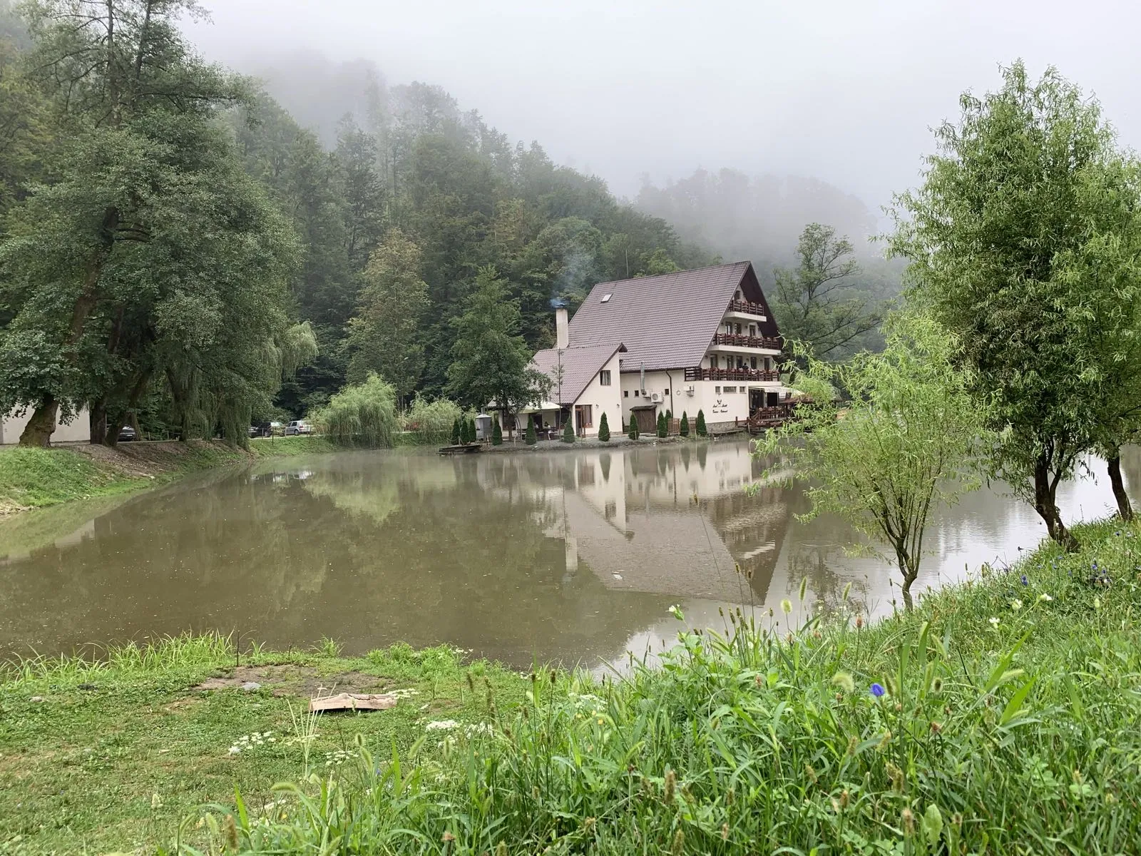 Peisaj Lacul Liniștit Moneasa - Summer
