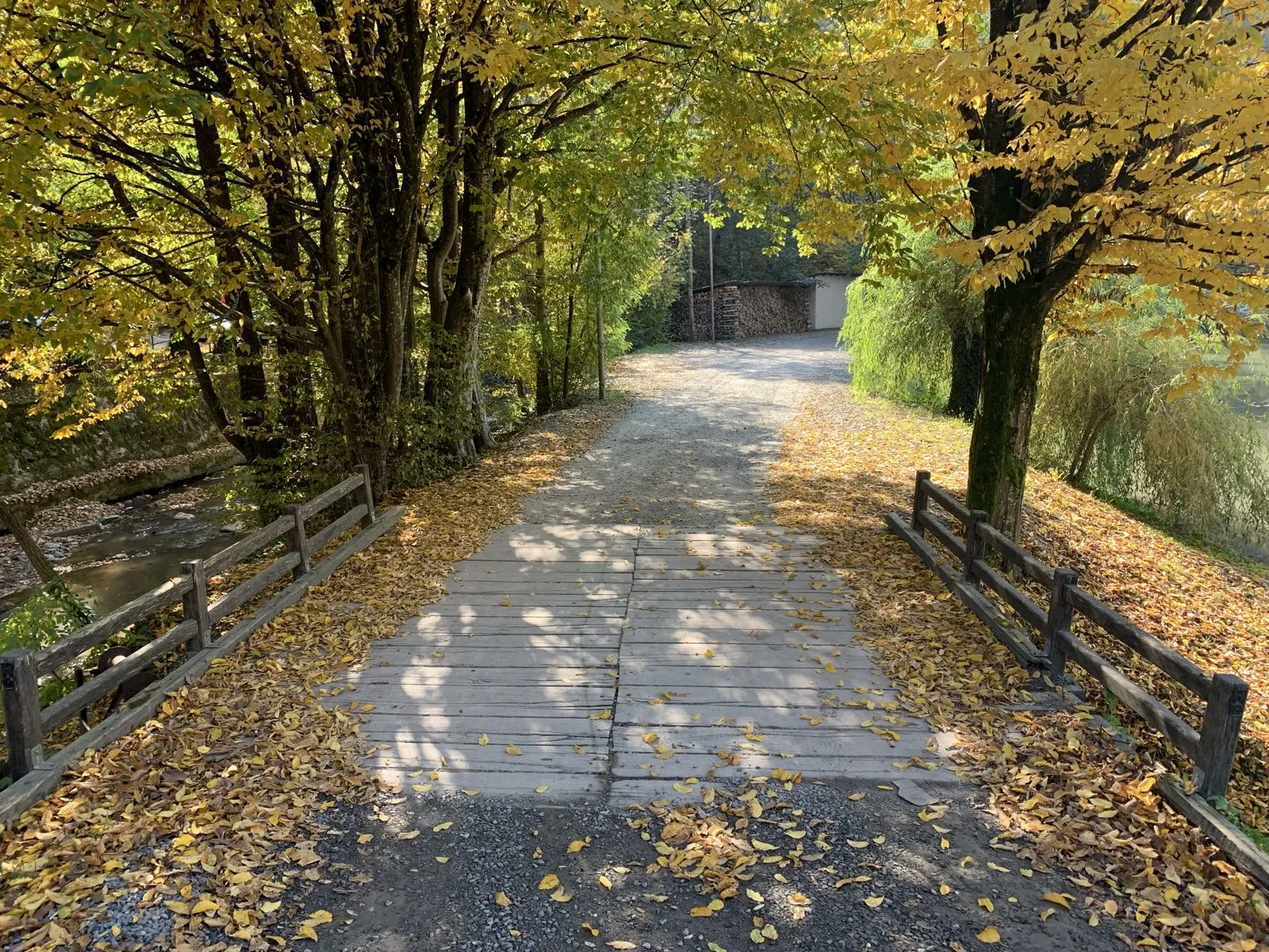 Peisaj Lacul Liniștit Moneasa - Autumn