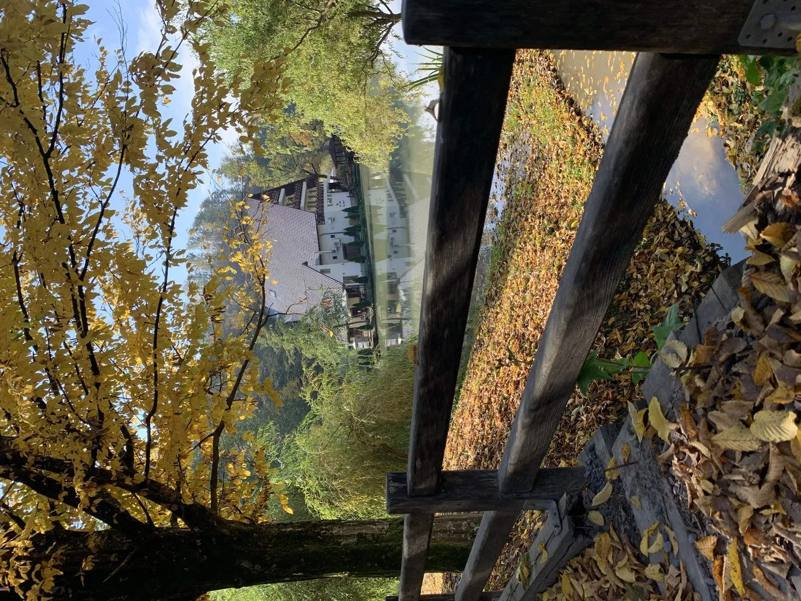 Peisaj Lacul Liniștit Moneasa - Autumn