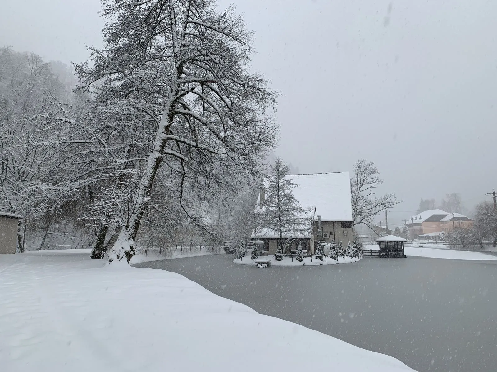 Peisaj Lacul Liniștit Moneasa - Winter