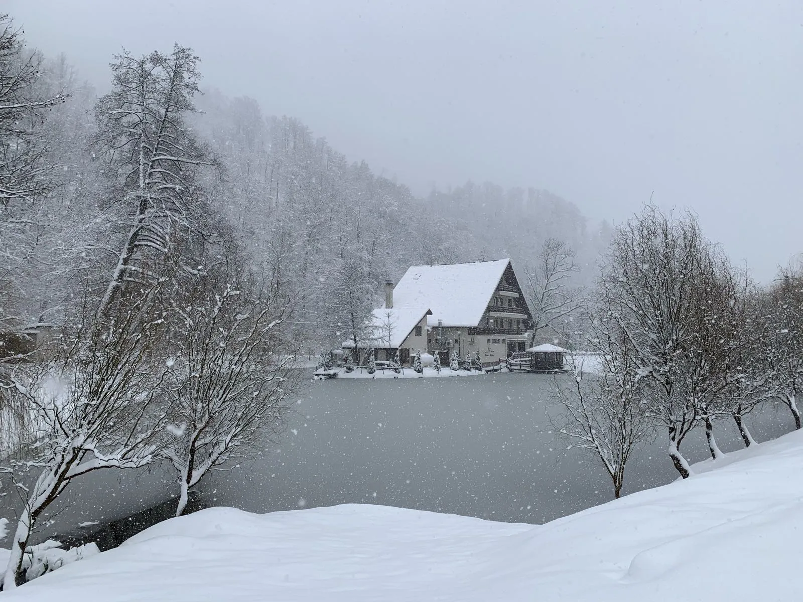 Peisaj Lacul Liniștit Moneasa - Winter