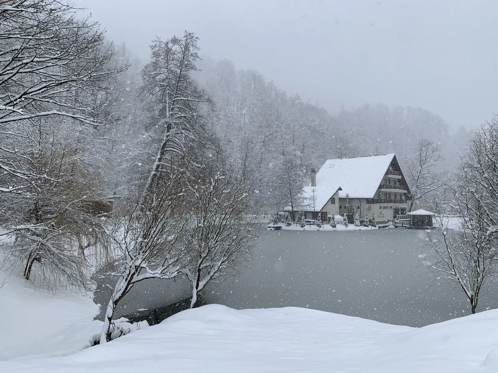 Peisaj Lacul Liniștit Moneasa - Winter